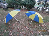 Two large umbrellas open and placed on the ground outside on brown fallen leaves. Each umbrella has alternating blue and yellow panels.