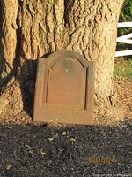 Front view of fireback leaning against tree trunk showing arched panel design