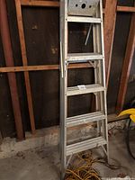 Full view of aluminum ladder leaning against the wall