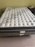 Photo showing queen mattress and boxspring stacked with tufted and patterned surfaces visible.