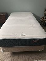 Front view of the twin mattress and boxspring showing clean surface and label.