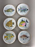 Top view of all six coasters arranged in two rows on a flat surface showing the fish designs and gold trim.