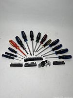 Full layout of all tools in the set with handles facing outward, showing the variety and quantity of screwdrivers, Allen keys, and bit holders.