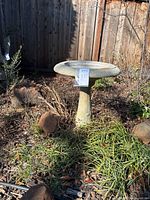 Concrete birdbath standing outdoors surrounded by garden plants and stones.
