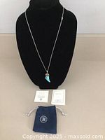 Full view of the necklace on a black display stand with accompanying certificates and a blue pouch with 'B' logo.