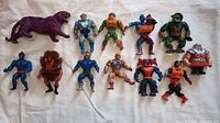 Lot of 12 vintage Masters of the Universe action figures including Panthor, Beast Man, and others laid out on a white surface