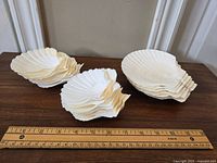 Clam shell dishes stacked by size next to a ruler for size reference, showing small, medium, and large sizes.