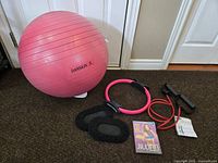 Photo shows a pink Danskin exercise ball, a pink Pilates ring, a red resistance band with black foam handles, black foam ankle weights, and a Jillian Michaels workout DVD on carpet in front of a white door.