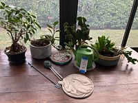Photo showing five live potted plants in various ceramic pots, green watering can, bunny patio stone, metal garden stake, and a colorful woven coaster on a wooden table.