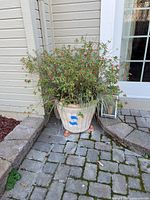 Outdoor white ceramic planter with greenery and red flowers, standing on feet on stone tiled patio.