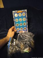 Quarter set with all months shown on blue display card held by hand, small plastic bags containing bulk coins roughly nearby.