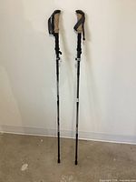 Full view of the pair of Trekology walking poles standing upright showing ergonomic cork/foam handles, wrist straps, and adjustable telescoping shaft segments with rubber tips.