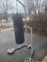 Full view of the punching bag hanging from the white metal stand with two 25lb weights on base