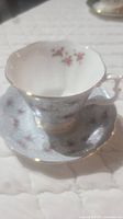 Image of the teacup and saucer set showing floral pattern, blue and white colors with gold trim.