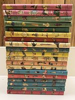 Stack of 19 hardcover books with colorful illustrated spines showing child-friendly scenes and characters, stacked vertically.