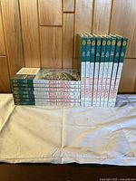 Complete set of 16 books by John Bradshaw, arranged upright and laying on their side, showing covers and spine titles.