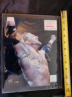 Full view of Triple H signed 8x10 glossy photo with measuring tape showing about 10 inches height.
