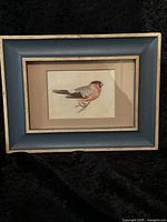 Full view of framed Bullfinch bird print, showing the blue and beige frame and beige matting surrounding the art.