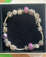 Overhead view of the Pandora bracelet with all sixteen charms laid out inside a black box.