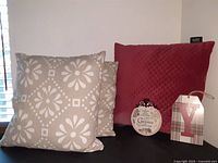 Two reversible 17x17 inch decorative pillows and one 20x20 inch velvet dark pink pillow arranged on a black surface showing front sides and tags.