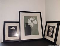 Set of three matt black framed pictures with black and white floral images against muted backgrounds.