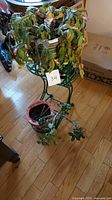 Large distressed leafy plant in a white bucket on top tier of green metal plant stand, with trailing succulent and smaller potted succulent placed on the bottom tier and floor nearby