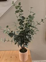 Full view of faux eucalyptus plant in beige textured pot on wooden surface against a neutral background
