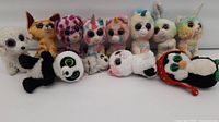 Group shot of all twelve Ty Beanie Boo plush toys