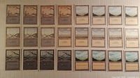 24 white-border basic land cards in four rows of six