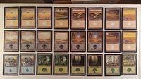 Full layout of 24 basic land cards in 4 rows of 6