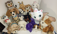 Photo showing a collection of dog and cat stuffed toys including a stuffed owl, dogs in various sizes and breeds, a white cat with a pink bow, and a purple cat toy.