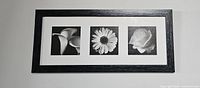 Front view of black frame with three black and white floral prints (calla lily, daisy, rose) arranged horizontally.