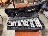 Berkeley xylophone glockenspiel inside a black soft carrying bag with instrument visible and folded adjustable stand inside.
