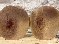 Two organic shaped pottery pieces with speckled brown finish and pink raised floral decoration side by side on a wooden surface.