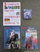 Front view of all four horse books showing titles and cover images.