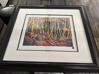 Framed print showing a forest scene with birch trees and rocky ground in autumn colors, signed by Tom Thomson.