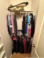 Closet with multiple women's clothing items hanging on rods, some protected in clear garment bags.