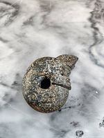 Close-up photo of the hand-carved pig dragon carved of speckled stone, showing top and side details, and a central hole.