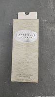 Front of original beige Alfred Sung Forever perfume box, stained and damaged with product details.