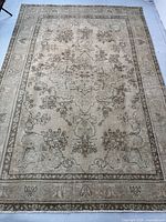Full view of entire rug laid flat showing overall pattern, border and fringe