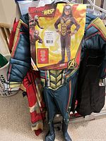 Front view of packaged Wasp costume on hanger