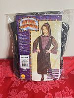 Front of sealed package showing Gothic Vampiress costume, hooded dress image