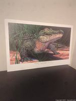 The full unframed lithograph print showing the alligator in a swamp setting with surrounding grass and water.