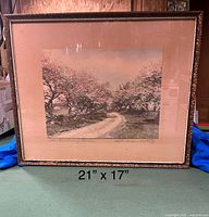 Full view of framed tinted photo print showing scenic country road and trees in bloom. Frame measures 21 x 17 inches.