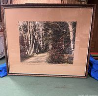 Framed tinted photo print showing a wooded path with birch trees and a pathway; the frame has a decorative bronze or gold edge.