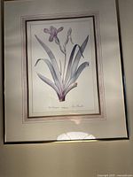 Close up of framed botanical print with purple iris flower