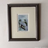 Framed print depicting hummingbirds and flower, overall view showing frame and matting.