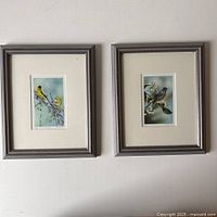 Two framed limited edition prints by Dawn Lavoie featuring goldfinches and eastern bluebirds.