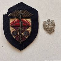 Photo of two military badges - one large cloth insignia badge with winged serpent and shield design on navy blue backing, and one smaller silver-tone metal badge with heraldic lion and fleur-de-lis design.