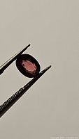 Close-up photo of oval-shaped orange pink sapphire held by tweezers, showing gemstone clarity and color from one angle.